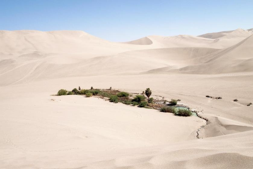 10712601_789387914462732_7312503025437498860_o