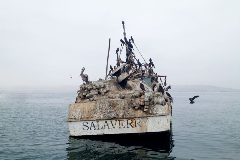 10830491_789354534466070_5104681868355036621_o