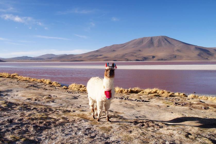 10834887_796956963705827_5965502015480818124_o (1)