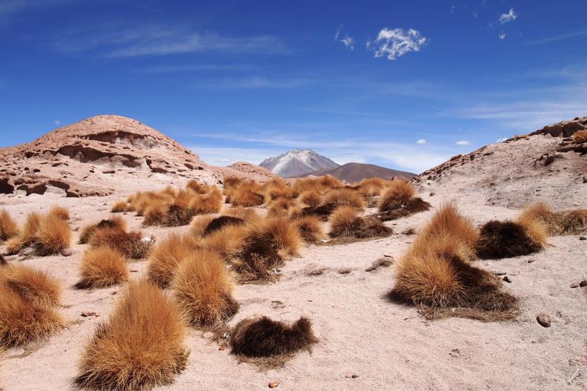 10857273_796111990456991_3473690767513282767_o