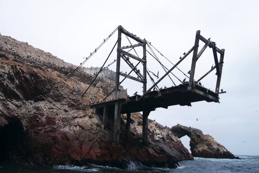 10931582_789350974466426_5858047183686985965_o