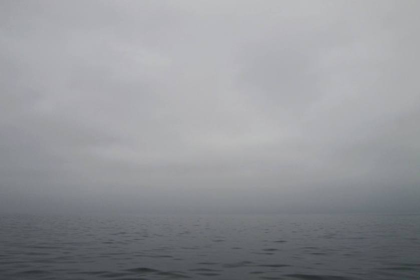 10931615_789338447801012_1159922581777723684_o