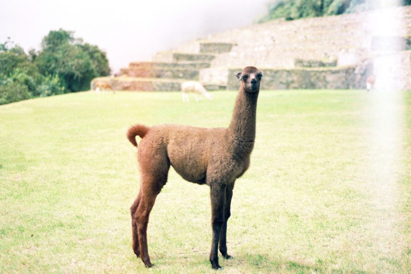 10945890_792243677510489_8906022243722706478_o