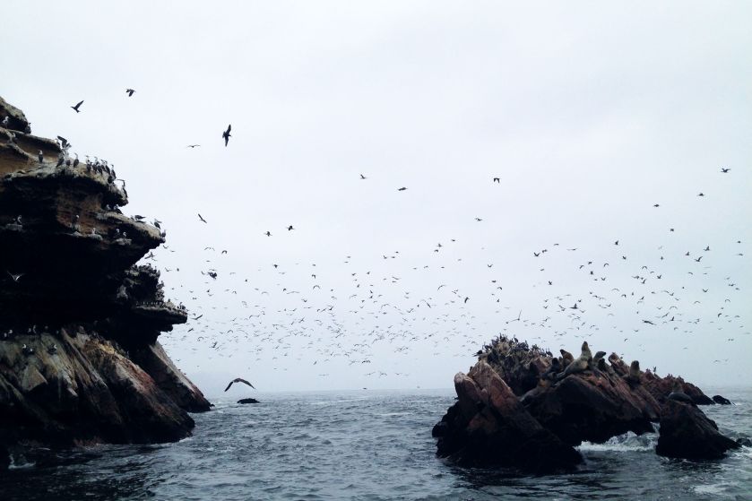 10953981_789346477800209_9103105051777768905_o