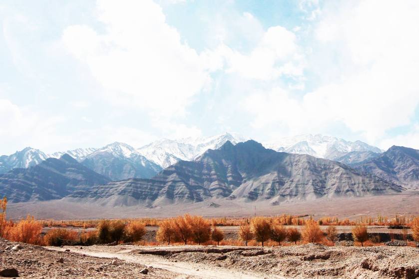 11001577_808950875839769_7223947995882713378_o (2)