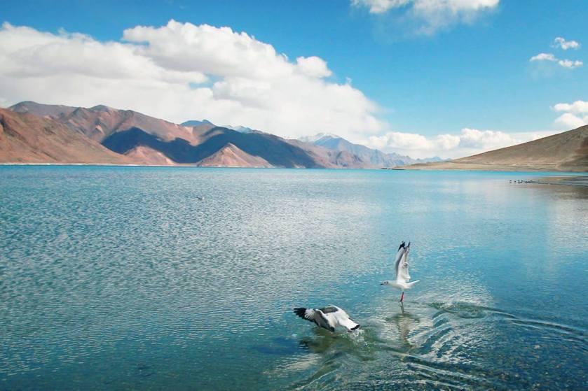 11046975_813773158690874_7875208306993421560_o (2)