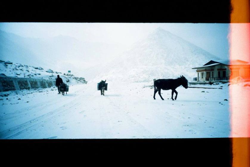 11050107_811168268951363_1360794466094050178_o