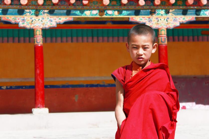 11084091_816162175118639_5354624734561849240_o