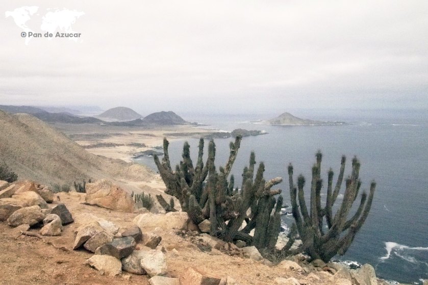 11128844_833738303361026_9219743646834690960_o (1)