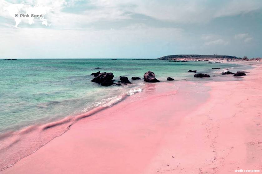 11206810_836281553106701_4105273872922014150_o