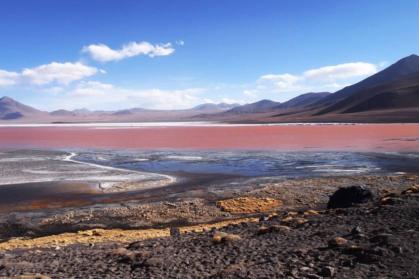 1523137_796941410374049_1375968819847269724_o