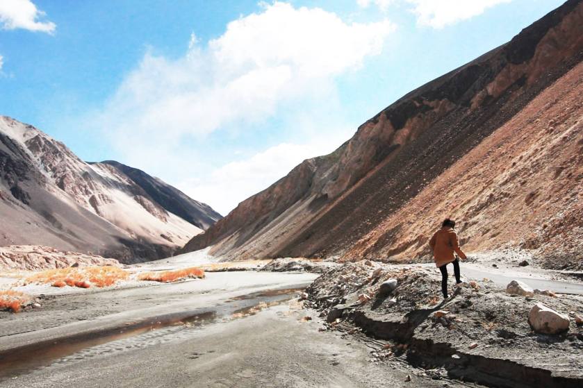 1891483_809557522445771_2286049211965850616_o