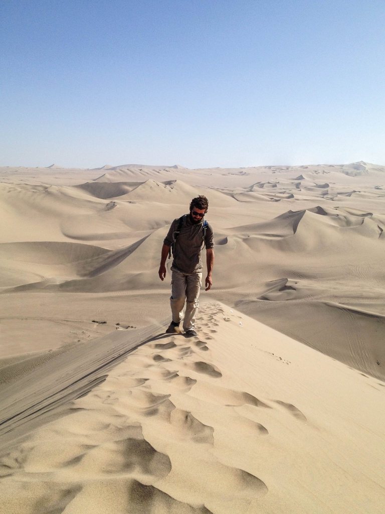 1960763_789804937754363_6656779758996380061_o