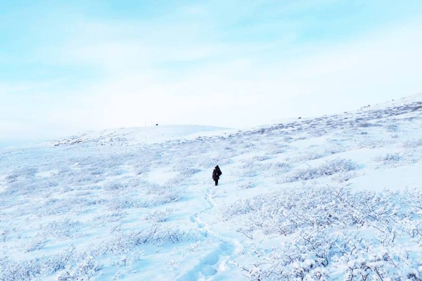 10955530_843948432340013_4712675470531824825_o