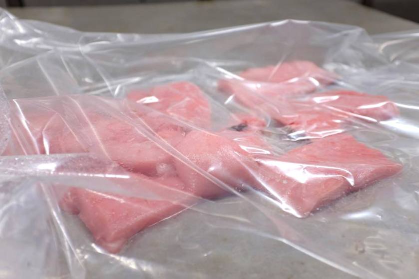 11048736_840189862715870_7858792729763419980_o