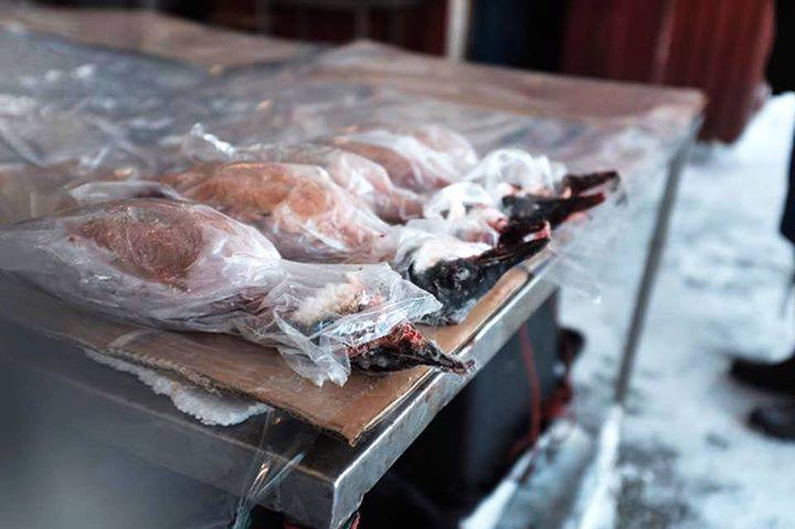 11264978_843371445731045_7163268684783603576_n