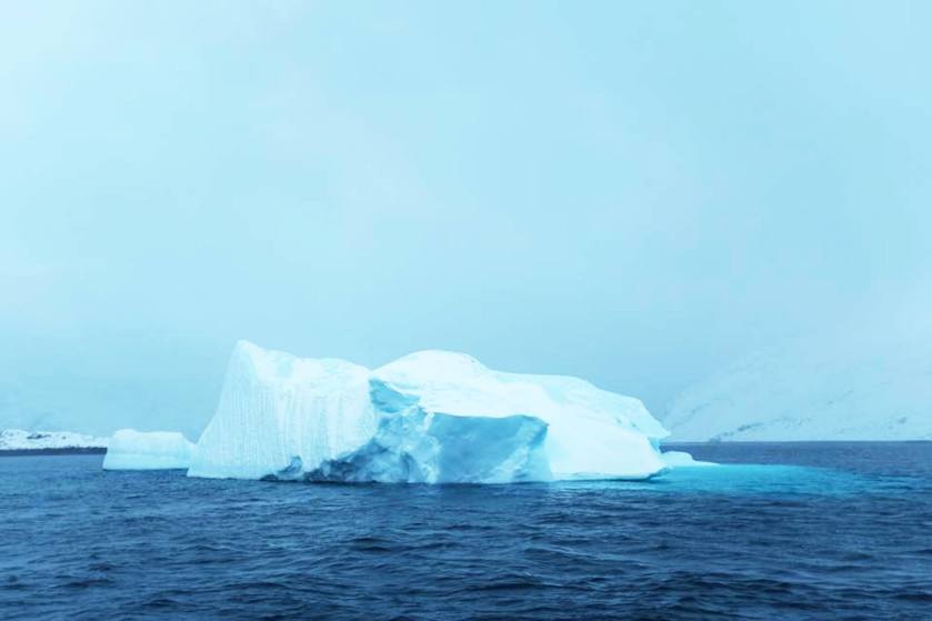 11270308_846728072062049_4909363440250161944_o (1)