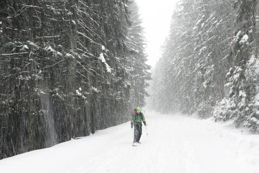 10986428_871515499583306_6180290583393169258_o