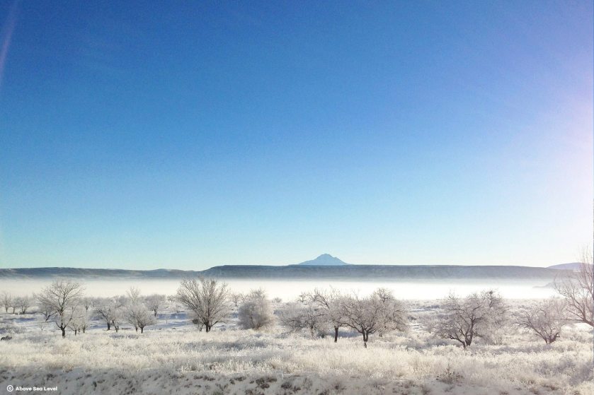 11224730_886245661443623_6091917173691655524_o