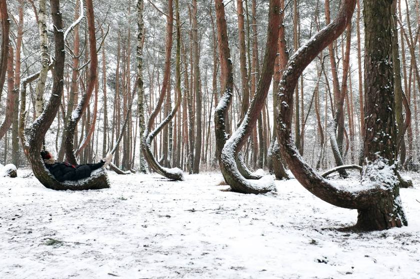 11242684_868766466524876_4567097783432895290_o