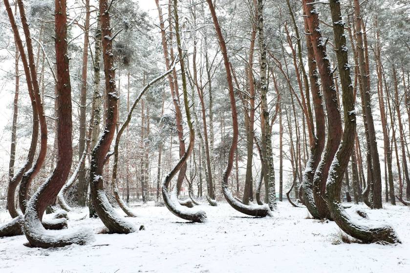 11722269_867576236643899_3751436062082696098_o