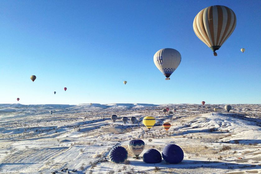 11865033_886191184782404_584952775619275200_o (1)