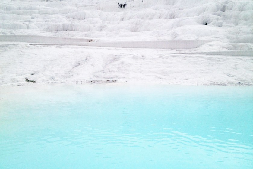 11893794_886245881443601_1080178486543048609_o