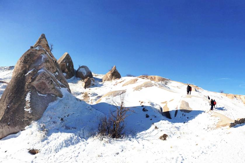 11895194_886195701448619_6357803387332477020_o