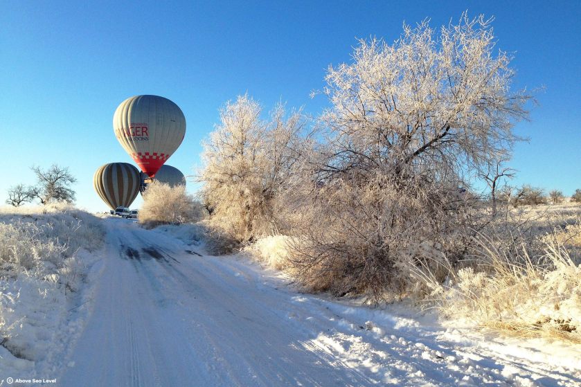 11896353_886193558115500_3493887273055446384_o