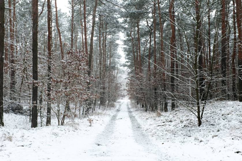 906025_865280466873476_1131703771924024677_o