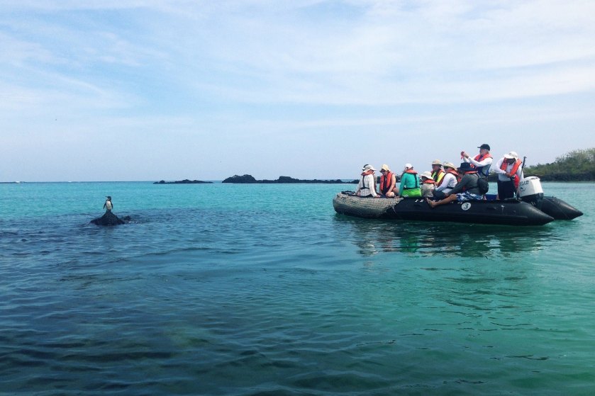 12265866_928870293847826_7652614578172383710_o (1)