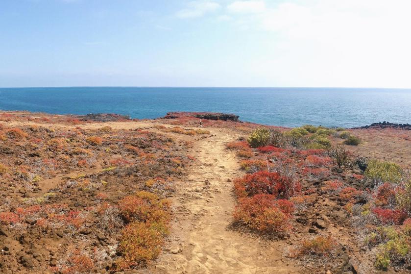 12265874_928868440514678_7930708113584721074_o (1)