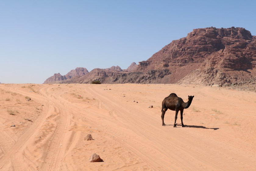 ogik25g2hgpm4gabw9g-o