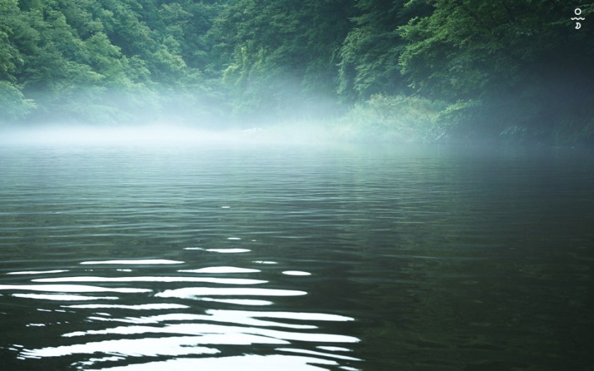 asl japansum 13 copy