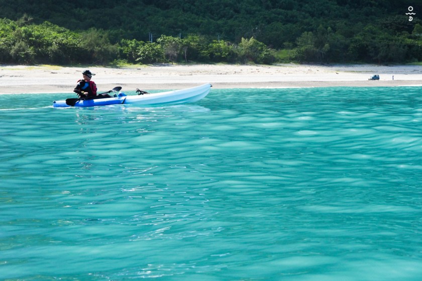 asl taiwan olympus p 13