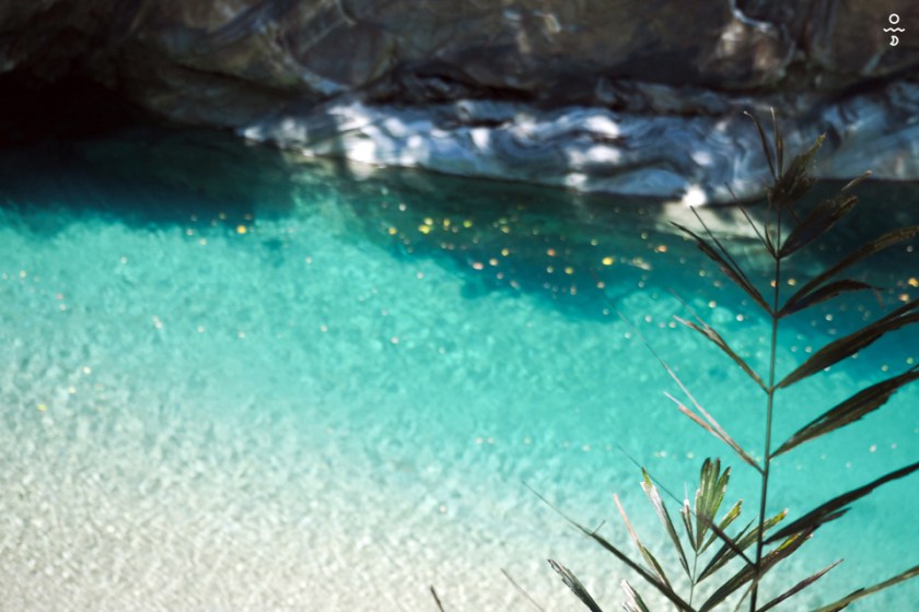 asl taiwan olympus p 28