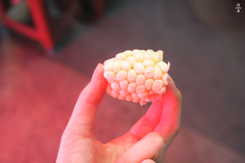 asl taiwan olympus p 35