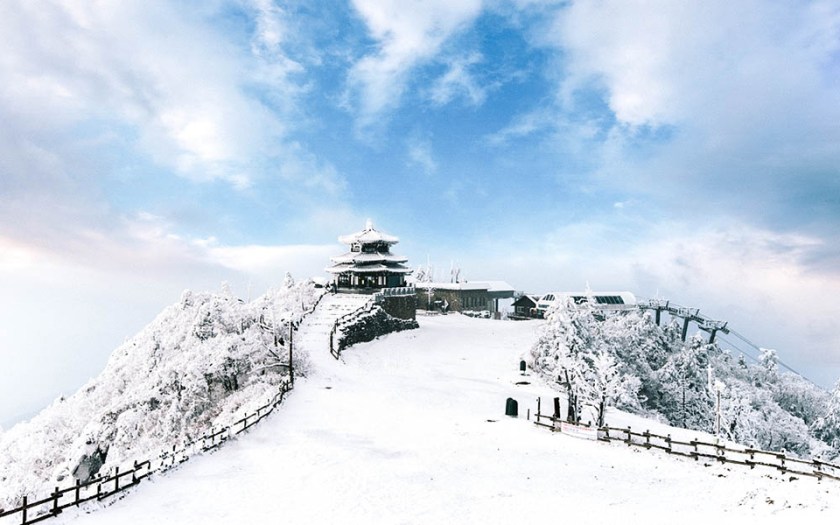 asl winter wonderland tvlk