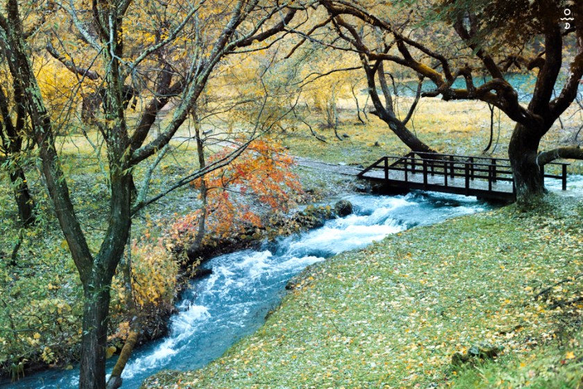 asl fuku goshikinuma 03