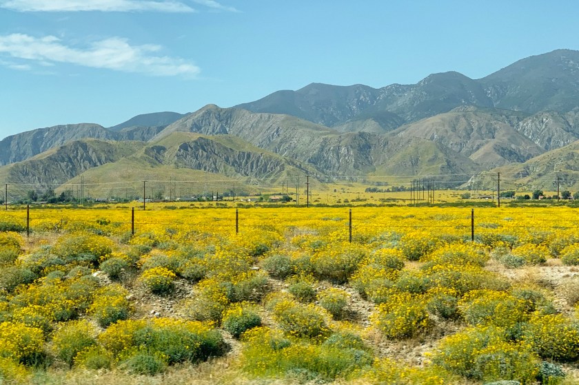 Processed with VSCO with g3 preset