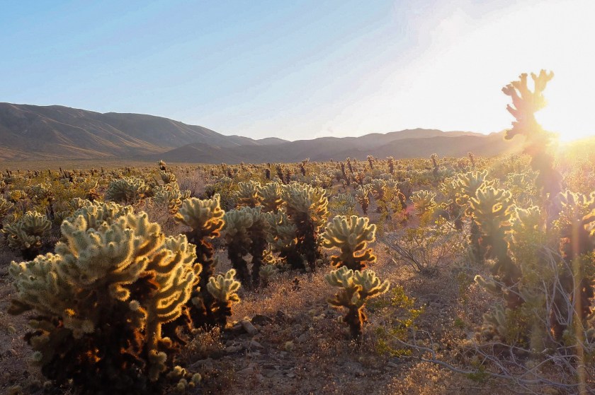 Processed with VSCO with g3 preset